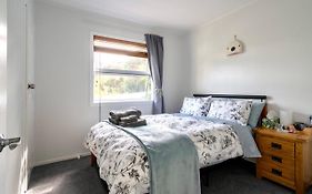 Shared Home In Albany